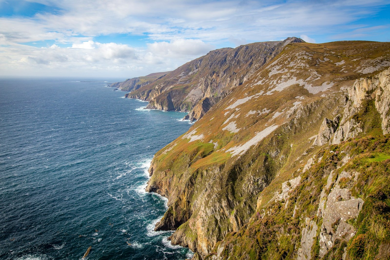 Donegal