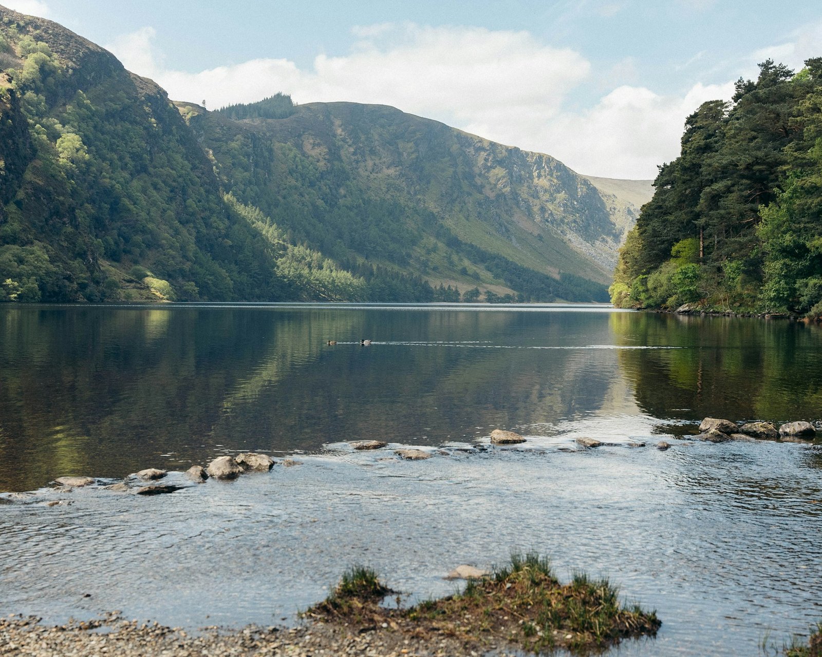 Wicklow